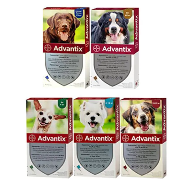 Адвантікс - краплі для собак від кліщів