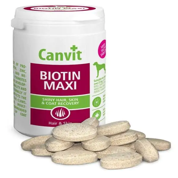 Канвіт Biotin Maxi - Вітамінний комплекс для шкіри, вовни собак великих порід