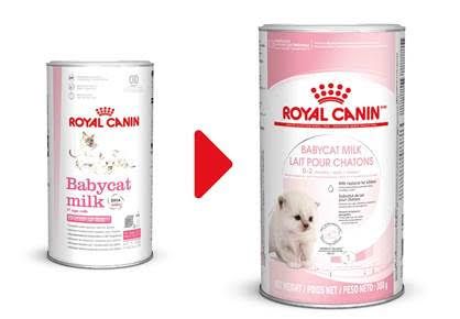 Купити Роял Канін Babycat Milk - Замінник молока для кошенят Royal ...