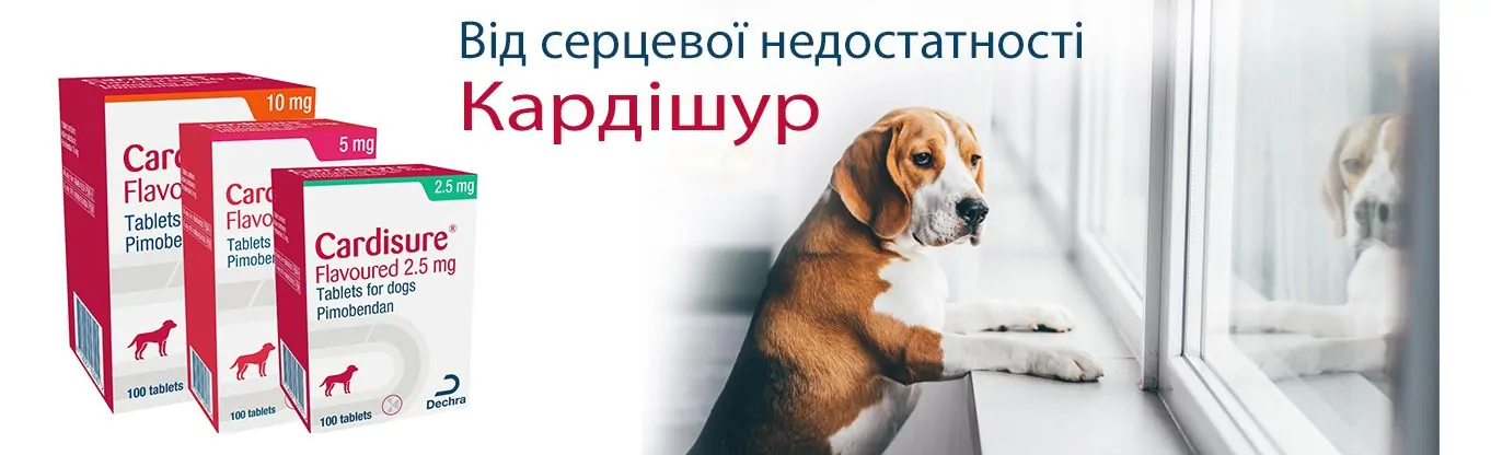 Купить Кардишур Cardisure в Киеве и Украине с доставкой - кардиопротектор для собак